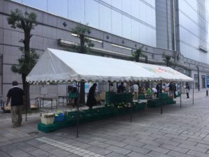 新鮮野菜販売「あぐり市」◆8月27日（日）